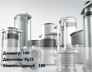 Компенсатор 100 Ру25 100